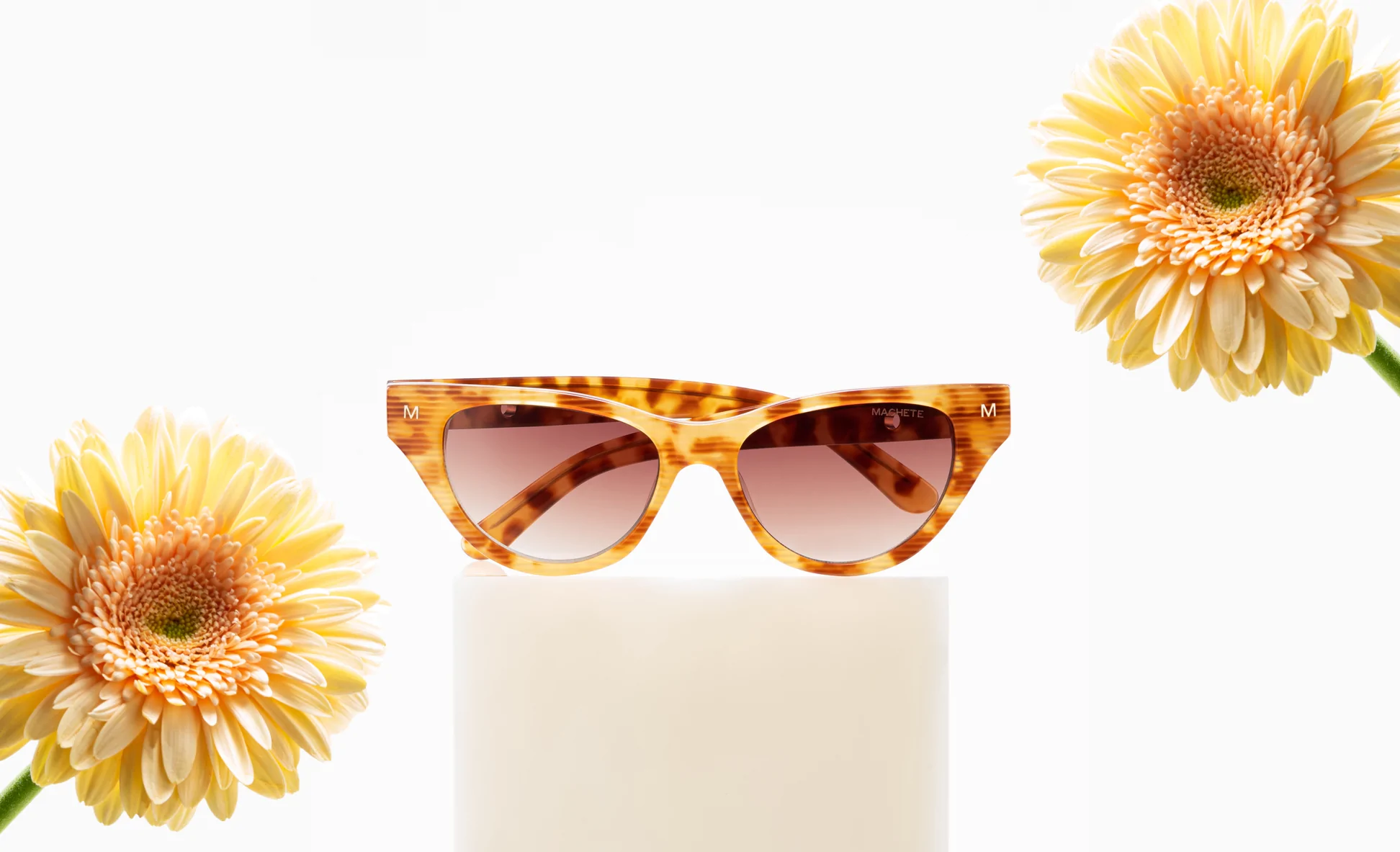 Machete Elegant store -Machete Elegant store Machete New Eye Wear 750 Edit desktop